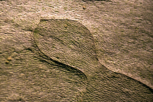 D_douze04_2002_1.jpg
